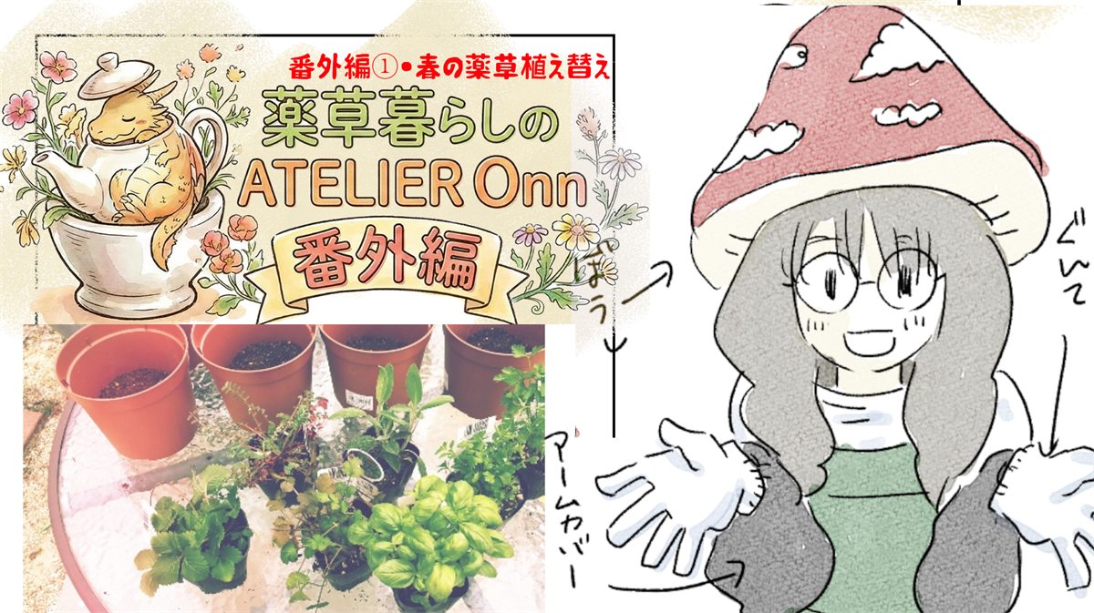 番外編① 春の薬草植え替え のタイトル画